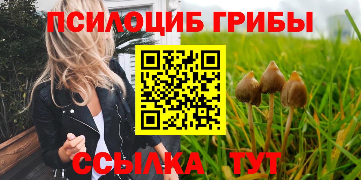 Коряжма  даркнет сайт  Вход с VPN  Галлюциногенные грибы Cubensis  Псилоцибиновые грибы мицелий 
